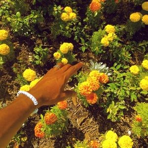 Meet your Posher, Anahi